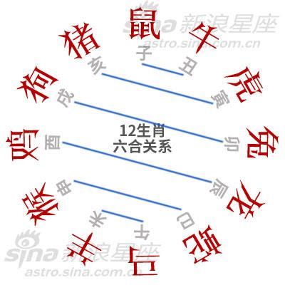 牛跟鼠合嗎|12 生肖配對的三合，六合，沖六，守衛保護六